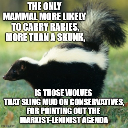 Extreme Radical Mud Slinger | THE ONLY 
MAMMAL MORE LIKELY 
TO CARRY RABIES,
MORE THAN A SKUNK, IS THOSE WOLVES 
THAT SLING MUD ON CONSERVATIVES,
FOR POINTING OUT THE 
MARXIST-LENINIST AGENDA | image tagged in cultural marxism,maga,blame russia,biden obama,nevertrump,karl marx | made w/ Imgflip meme maker