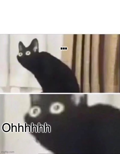 Oh No Black Cat | Ohhhhhh … | image tagged in oh no black cat | made w/ Imgflip meme maker
