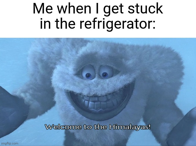 Could you ever imagine | Me when I get stuck in the refrigerator: | image tagged in welcome to the himalayas,memes | made w/ Imgflip meme maker
