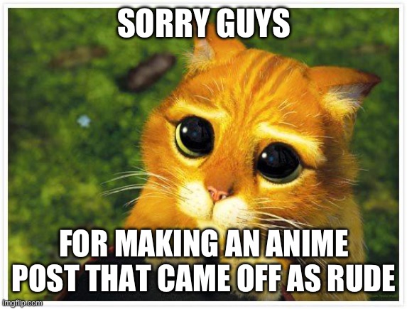 im sorry really | SORRY GUYS; FOR MAKING AN ANIME POST THAT CAME OFF AS RUDE | image tagged in sorry kitty | made w/ Imgflip meme maker