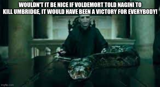 I wish. | WOULDN'T IT BE NICE IF VOLDEMORT TOLD NAGINI TO KILL UMBRIDGE, IT WOULD HAVE BEEN A VICTORY FOR EVERYBODY! | image tagged in harry potter | made w/ Imgflip meme maker