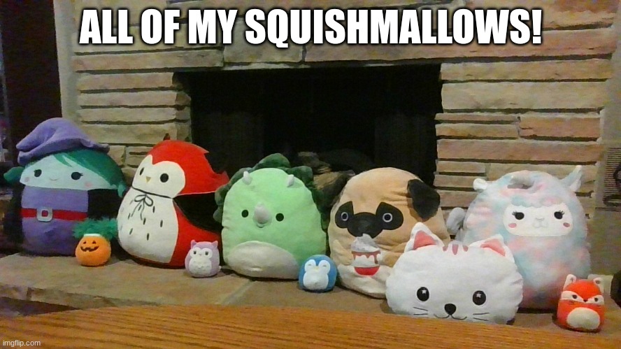 :D | ALL OF MY SQUISHMALLOWS! | image tagged in behold my stuff | made w/ Imgflip meme maker