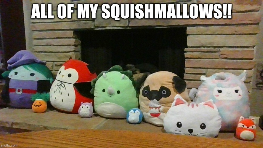 :D | ALL OF MY SQUISHMALLOWS!! | image tagged in behold my stuff | made w/ Imgflip meme maker