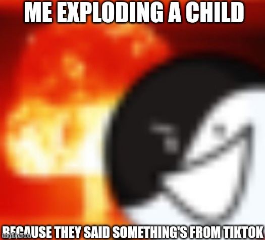 kaboom | ME EXPLODING A CHILD BECAUSE THEY SAID SOMETHING'S FROM TIKTOK | image tagged in kaboom | made w/ Imgflip meme maker