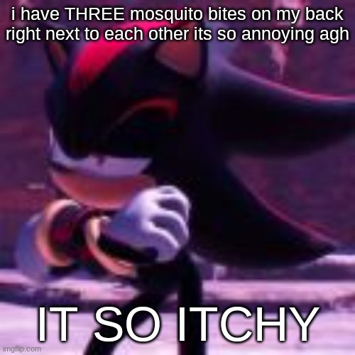 driving me insane  and i dont have mosquito cream | i have THREE mosquito bites on my back
right next to each other its so annoying agh; IT SO ITCHY | image tagged in shadow raising eyebrow | made w/ Imgflip meme maker