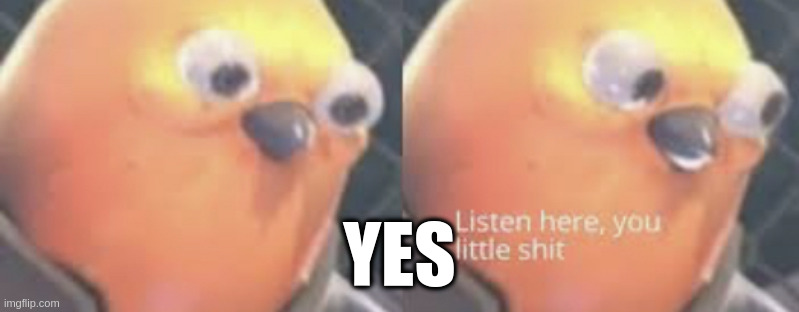 when the title is part of the meme | YES | image tagged in listen here you little shit bird,hmm,dird,bird,woah,wut | made w/ Imgflip meme maker