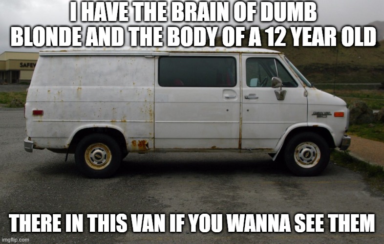 In the Van | I HAVE THE BRAIN OF DUMB BLONDE AND THE BODY OF A 12 YEAR OLD; THERE IN THIS VAN IF YOU WANNA SEE THEM | image tagged in creepy van | made w/ Imgflip meme maker