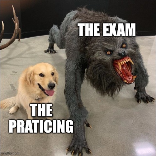 School | THE EXAM; THE PRATICING | image tagged in dog vs werewolf | made w/ Imgflip meme maker