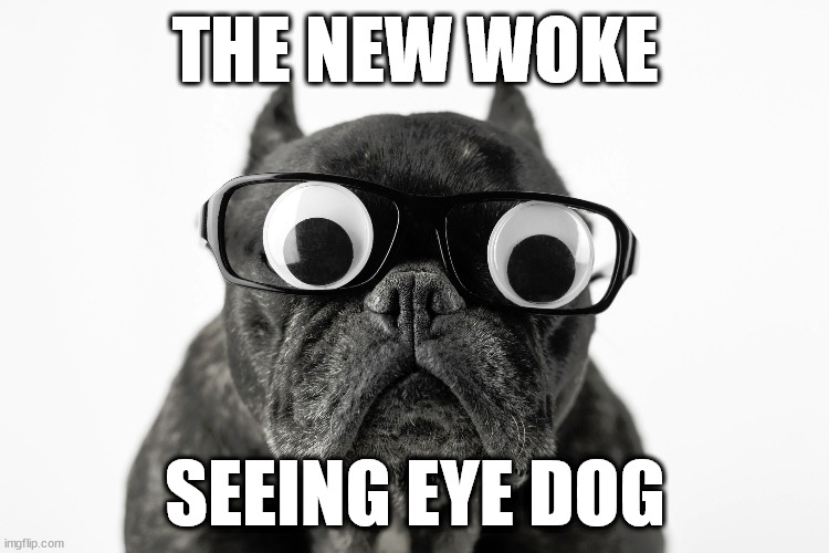 THE NEW WOKE; SEEING EYE DOG | image tagged in eye see | made w/ Imgflip meme maker