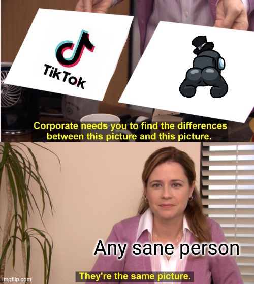 They're The Same Picture Meme | Any sane person | image tagged in memes,they're the same picture | made w/ Imgflip meme maker