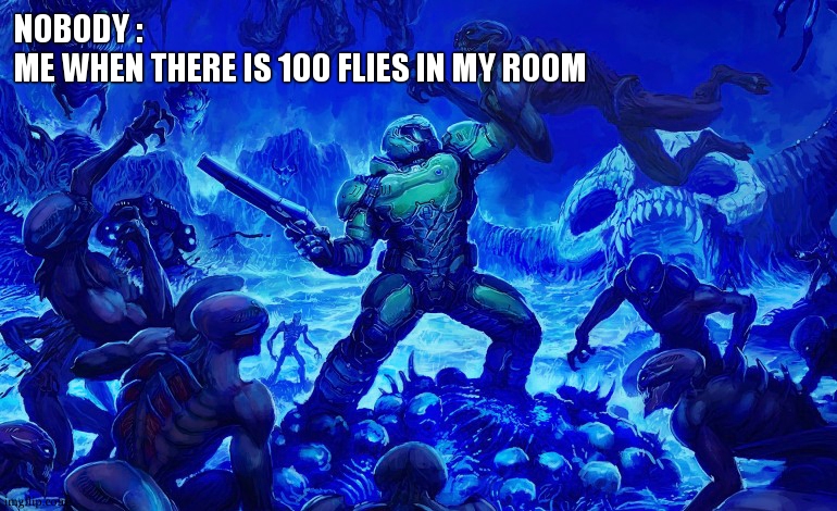 lets go commit genocide | NOBODY :
ME WHEN THERE IS 100 FLIES IN MY ROOM | image tagged in doom slayer killing demons,true story,genocide,i will find you and i will kill you,relatable | made w/ Imgflip meme maker