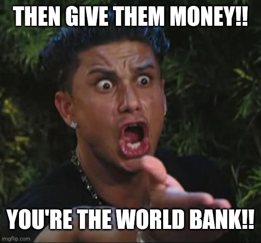 DJ Pauly D Meme | THEN GIVE THEM MONEY!! YOU'RE THE WORLD BANK!! | image tagged in memes,dj pauly d | made w/ Imgflip meme maker