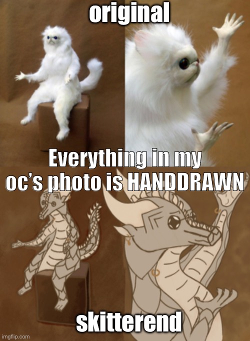 Here is my baby! Skitterend is Afrikaans for witty/brilliant! Every single detail in the bottom picture is HAND DRAWN. i hope yo | original; Everything in my oc’s photo is HANDDRAWN; skitterend | image tagged in memes,persian cat room guardian,persian cat room gaurdian drag n art | made w/ Imgflip meme maker