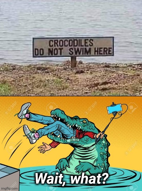 No crocs here | image tagged in crocodile,eyeroll,funny memes | made w/ Imgflip meme maker