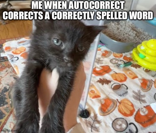 I hate autocorrect | ME WHEN AUTOCORRECT CORRECTS A CORRECTLY SPELLED WORD | image tagged in grumpy cat,cats,cat | made w/ Imgflip meme maker