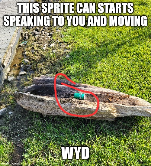 THIS SPRITE CAN STARTS SPEAKING TO YOU AND MOVING; WYD | made w/ Imgflip meme maker