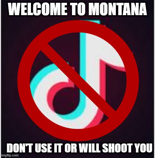 How Is This Enforced Exactly? | WELCOME TO MONTANA; DON'T USE IT OR WILL SHOOT YOU | image tagged in censorship | made w/ Imgflip meme maker
