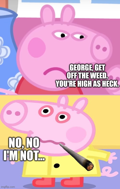 Angry Peppa Pig | GEORGE, GET OFF THE WEED. YOU'RE HIGH AS HECK. NO, NO I'M NOT... | image tagged in angry peppa pig,high pig | made w/ Imgflip meme maker