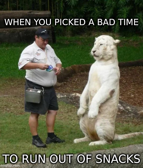 snacks | WHEN YOU PICKED A BAD TIME; TO RUN OUT OF SNACKS | image tagged in lions | made w/ Imgflip meme maker
