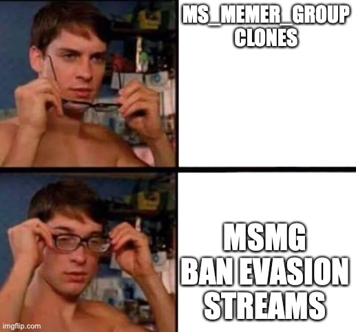 Peter Parker's Glasses | MS_MEMER_GROUP CLONES; MSMG BAN EVASION STREAMS | image tagged in peter parker's glasses | made w/ Imgflip meme maker