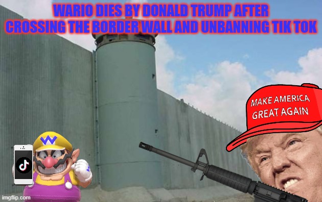 wario dies by donald trump after crossing the border wall and unbanning tik tok | WARIO DIES BY DONALD TRUMP AFTER CROSSING THE BORDER WALL AND UNBANNING TIK TOK | image tagged in wario dies,donald trump,maga,border wall | made w/ Imgflip meme maker