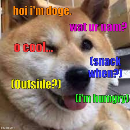 doge want 2 talk | hoi i'm doge. wat ur nam? o cool... (snack when?); (Outside?); (i'm humgry) | image tagged in winky doggy,funny | made w/ Imgflip meme maker