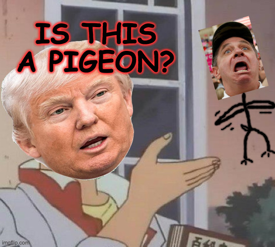 Yes it is. | IS THIS A PIGEON? | image tagged in memes,is this a pigeon | made w/ Imgflip meme maker