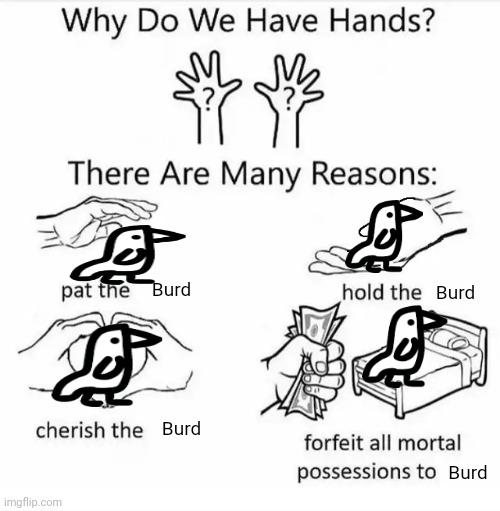 Why do we have hands? (all blank) | Burd; Burd; Burd; Burd | image tagged in why do we have hands all blank | made w/ Imgflip meme maker