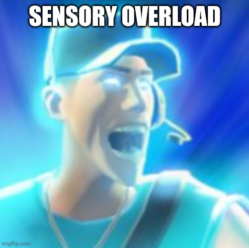 Scout Tells You To KYS | SENSORY OVERLOAD | image tagged in scout tells you to kys | made w/ Imgflip meme maker