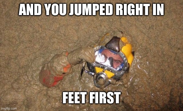AND YOU JUMPED RIGHT IN FEET FIRST | made w/ Imgflip meme maker