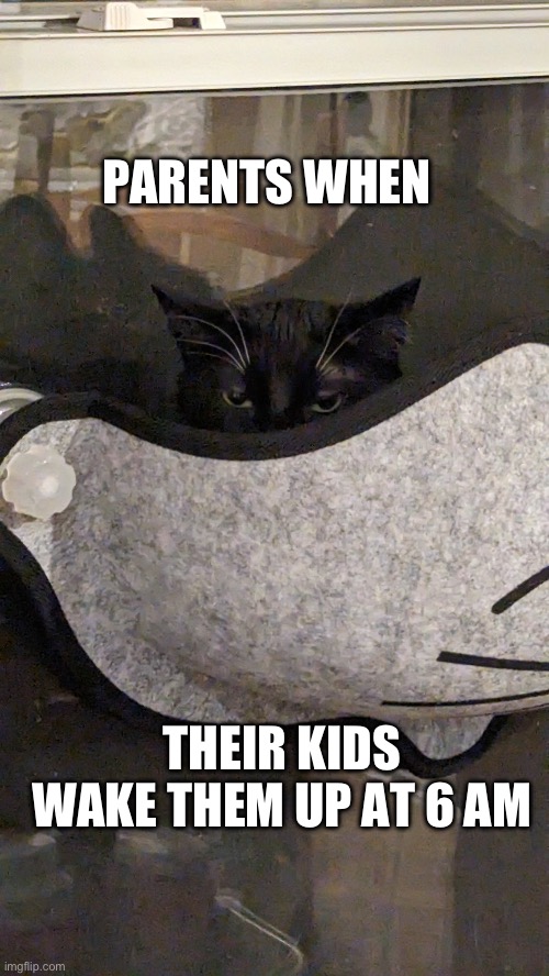 Parents sleep | PARENTS WHEN; THEIR KIDS WAKE THEM UP AT 6 AM | image tagged in peeping cat | made w/ Imgflip meme maker