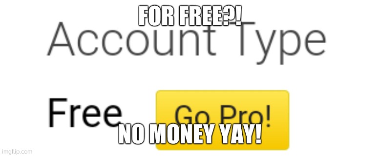Imgflip free go pro | FOR FREE?! NO MONEY YAY! | image tagged in imgflip free go pro | made w/ Imgflip meme maker