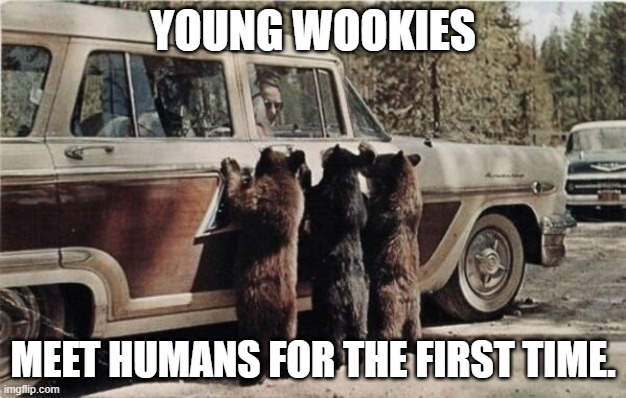 Young Wookies | YOUNG WOOKIES; MEET HUMANS FOR THE FIRST TIME. | image tagged in young wookies | made w/ Imgflip meme maker