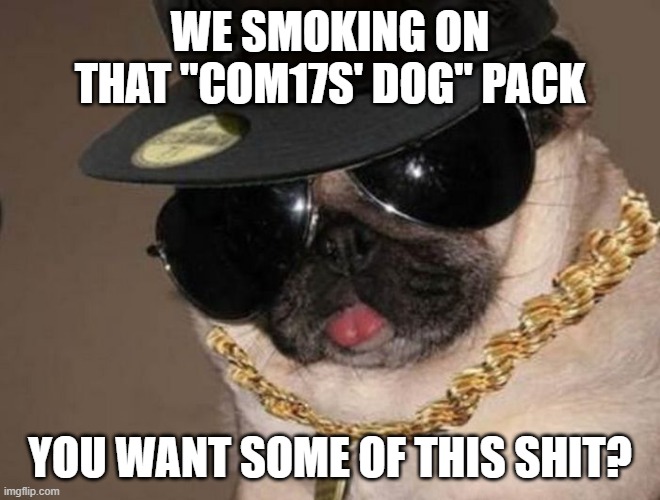 Gangster Pug | WE SMOKING ON THAT "COM17S' DOG" PACK YOU WANT SOME OF THIS SHIT? | image tagged in gangster pug | made w/ Imgflip meme maker