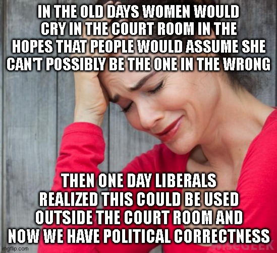 my level of offence is correlative to the invalidity of their statement. | IN THE OLD DAYS WOMEN WOULD CRY IN THE COURT ROOM IN THE HOPES THAT PEOPLE WOULD ASSUME SHE CAN'T POSSIBLY BE THE ONE IN THE WRONG; THEN ONE DAY LIBERALS REALIZED THIS COULD BE USED OUTSIDE THE COURT ROOM AND NOW WE HAVE POLITICAL CORRECTNESS | image tagged in woman crying | made w/ Imgflip meme maker