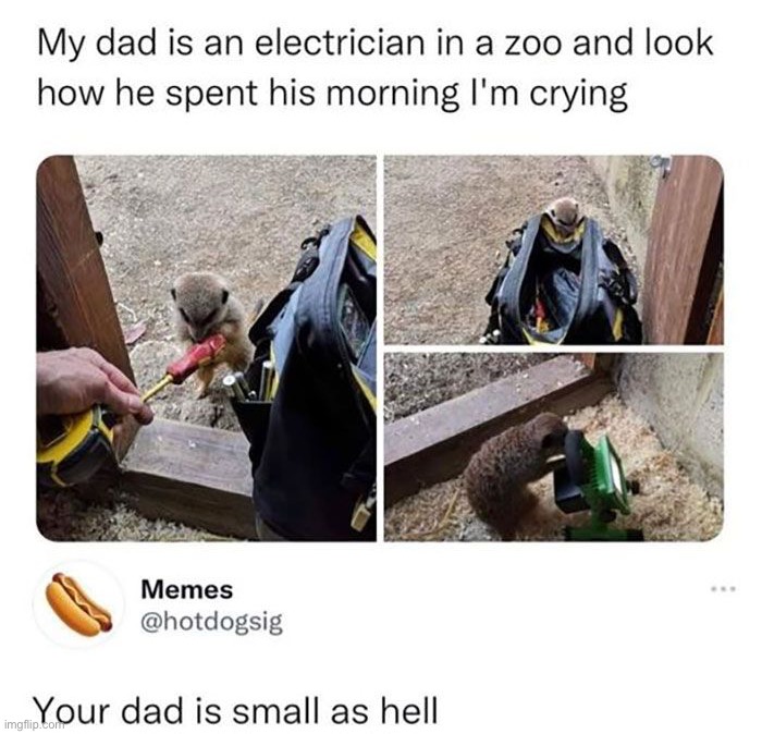 image tagged in memes | made w/ Imgflip meme maker