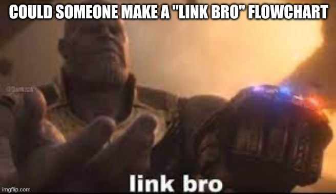 link bro | COULD SOMEONE MAKE A "LINK BRO" FLOWCHART | image tagged in link bro | made w/ Imgflip meme maker