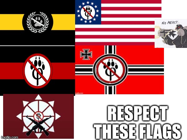 the almighty flags | RESPECT THESE FLAGS | image tagged in yes | made w/ Imgflip meme maker