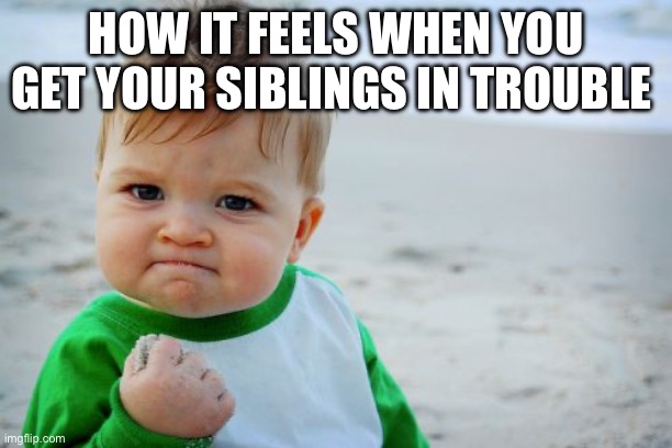 Success Kid Original Meme | HOW IT FEELS WHEN YOU GET YOUR SIBLINGS IN TROUBLE | image tagged in memes,success kid original | made w/ Imgflip meme maker