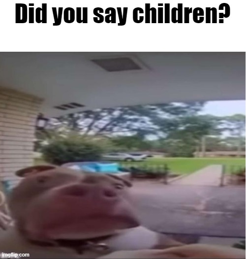 Children? | Did you say children? | image tagged in intrigued pitbull | made w/ Imgflip meme maker