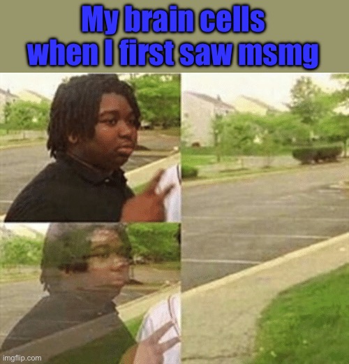 black kid disappearing | My brain cells when I first saw msmg | image tagged in black kid disappearing | made w/ Imgflip meme maker