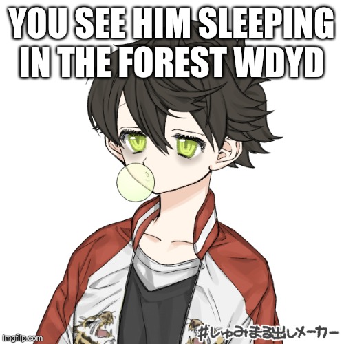 Any rp is fine, besides NSFW | YOU SEE HIM SLEEPING IN THE FOREST WDYD | made w/ Imgflip meme maker