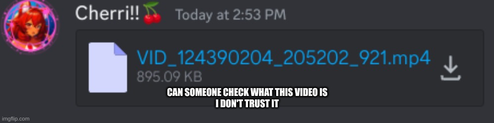 CAN SOMEONE CHECK WHAT THIS VIDEO IS
I DON'T TRUST IT | made w/ Imgflip meme maker