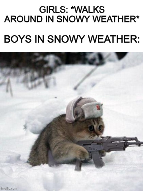 All-out snow war >:D | GIRLS: *WALKS AROUND IN SNOWY WEATHER*; BOYS IN SNOWY WEATHER: | image tagged in blank white template,cute sad soviet war kitten | made w/ Imgflip meme maker