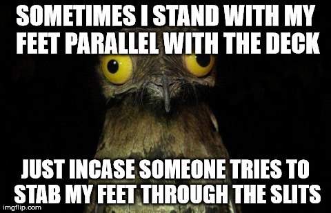 Weird Stuff I Do Potoo | SOMETIMES I STAND WITH MY FEET PARALLEL WITH THE DECK JUST INCASE SOMEONE TRIES TO STAB MY FEET THROUGH THE SLITS | image tagged in memes,weird stuff i do potoo,AdviceAnimals | made w/ Imgflip meme maker