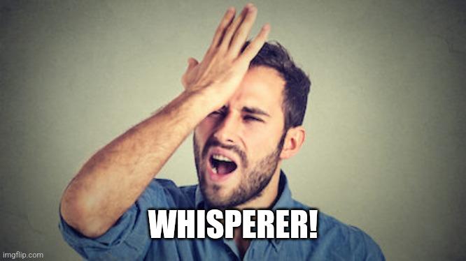 Facepalm guy 1 | WHISPERER! | image tagged in facepalm guy 1 | made w/ Imgflip meme maker