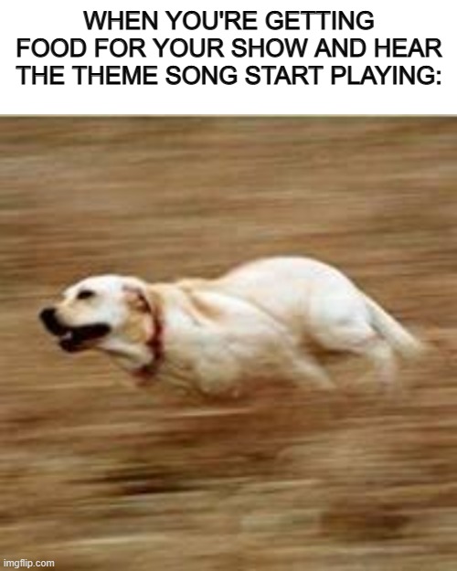 GOGOGO | WHEN YOU'RE GETTING FOOD FOR YOUR SHOW AND HEAR THE THEME SONG START PLAYING: | image tagged in blank white template,speedy doggo | made w/ Imgflip meme maker
