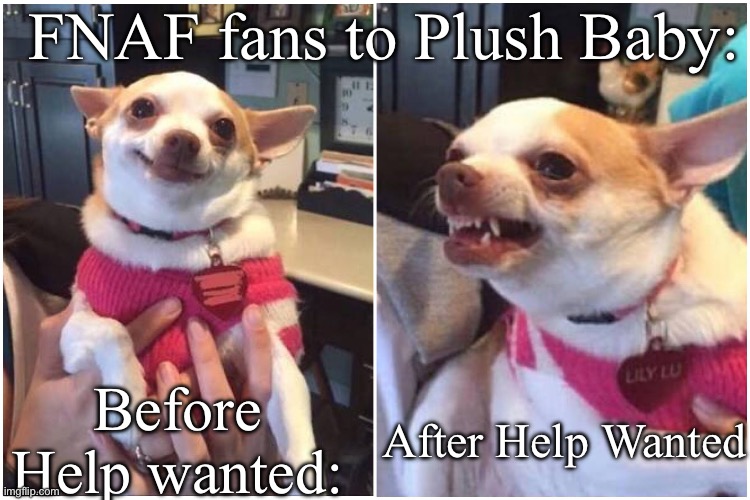Help wanted ruined whatever she had going for her | FNAF fans to Plush Baby:; Before Help wanted:; After Help Wanted | image tagged in before and after chihuaha | made w/ Imgflip meme maker