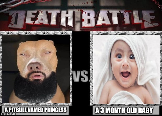 death battle | A PITBULL NAMED PRINCESS; A 3 MONTH OLD BABY | image tagged in death battle | made w/ Imgflip meme maker