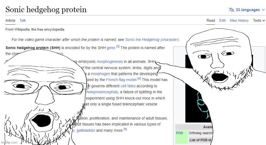 Wojak - Wikipedia